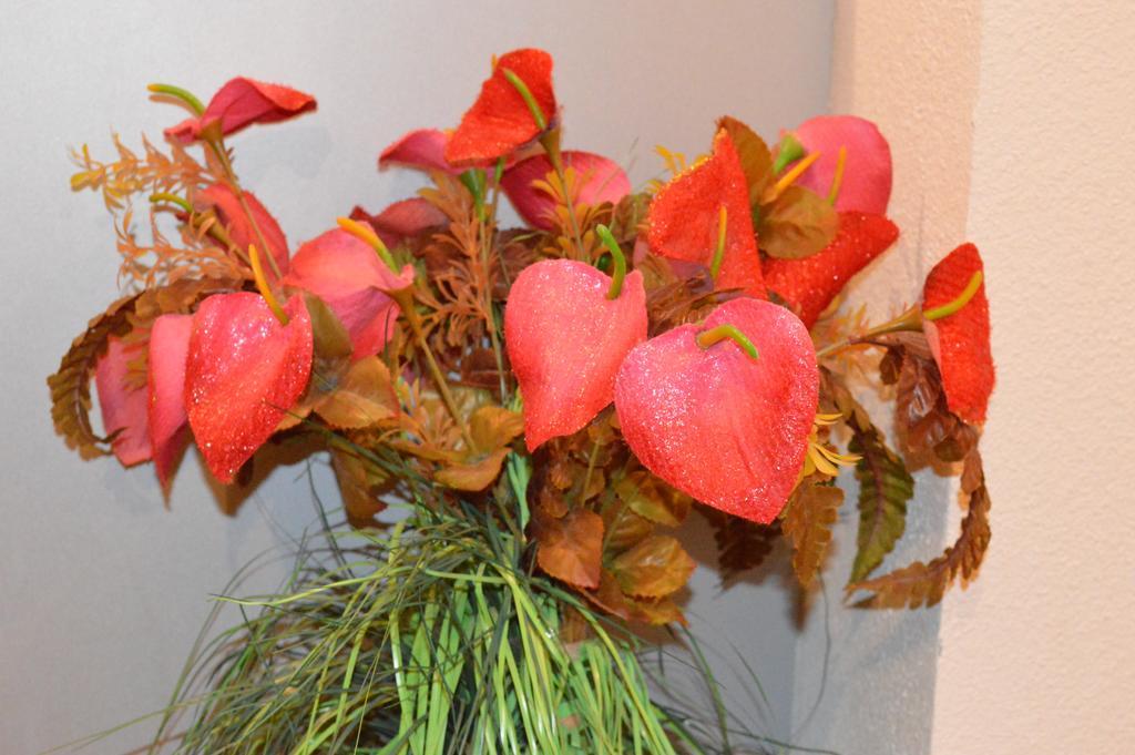 ג'רארדמר Appartement Timgad חדר תמונה
